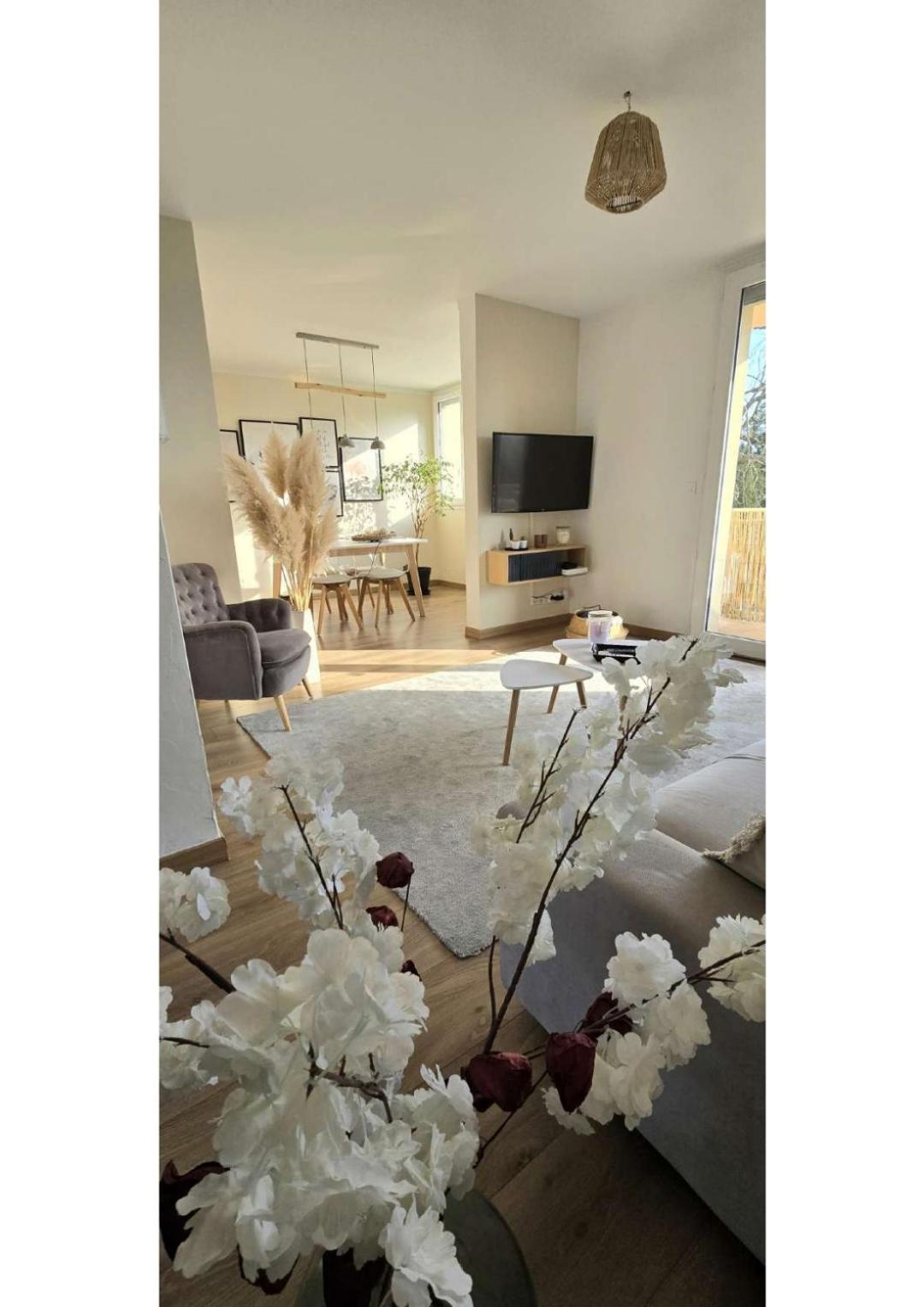 Superbe T3 Cosy, Parking Gratuit + Balcon Leilighet Riom Eksteriør bilde