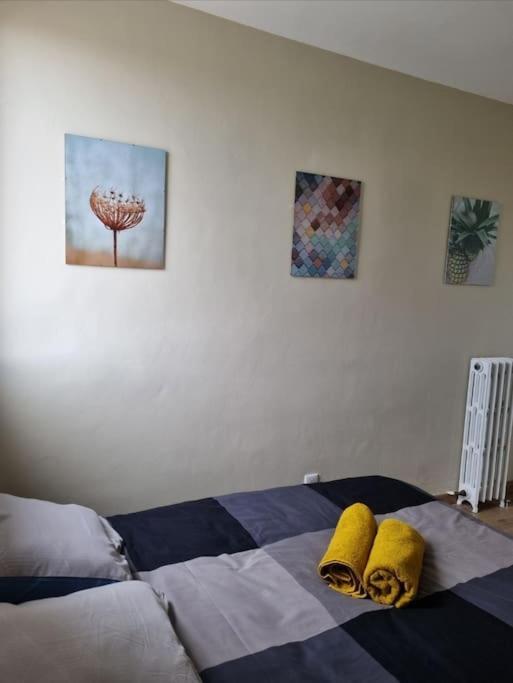 Superbe T3 Cosy, Parking Gratuit + Balcon Leilighet Riom Eksteriør bilde