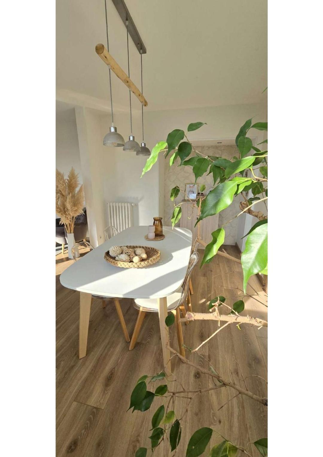 Superbe T3 Cosy, Parking Gratuit + Balcon Leilighet Riom Eksteriør bilde