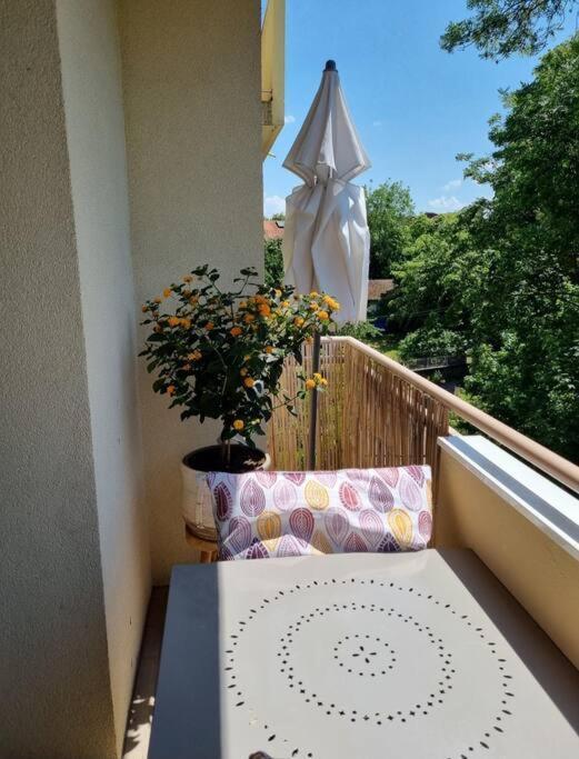 Superbe T3 Cosy, Parking Gratuit + Balcon Leilighet Riom Eksteriør bilde
